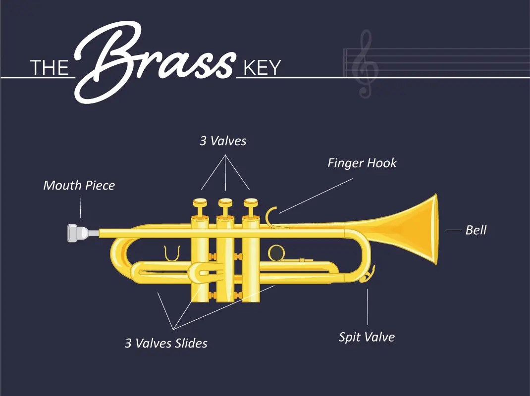Trumpet infograph