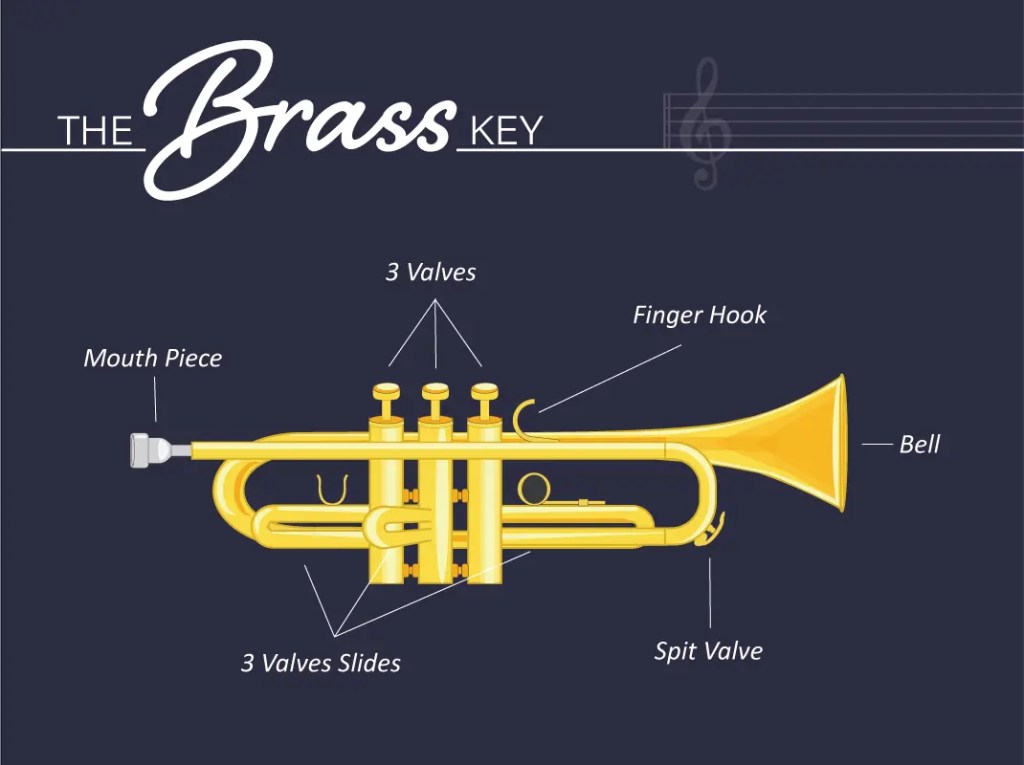 Trumpet infograph